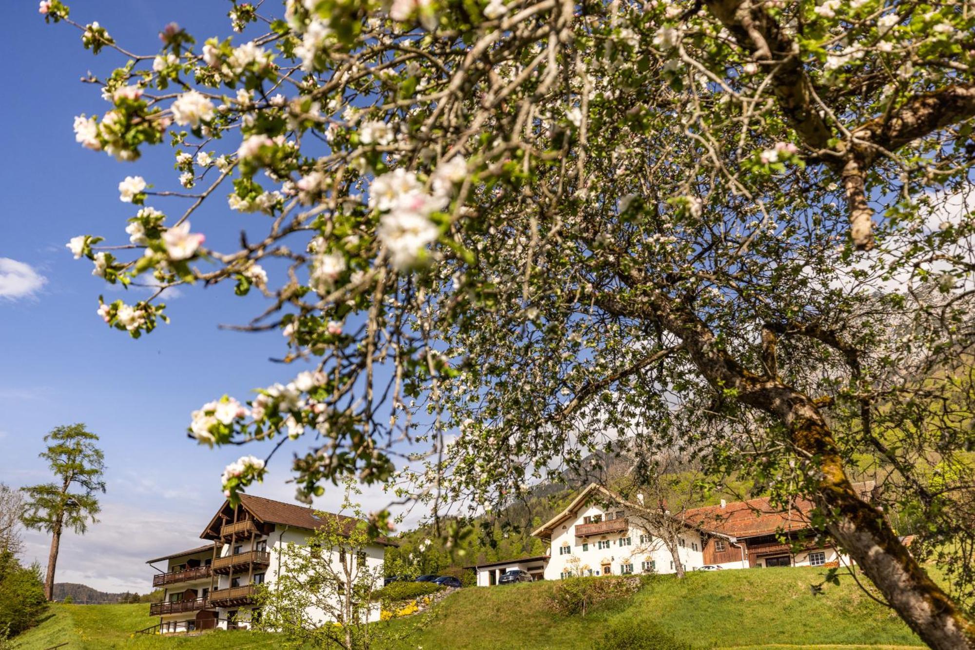 Ferienwohnungen Am Gablerhof Bad Reichenhall Exteriör bild